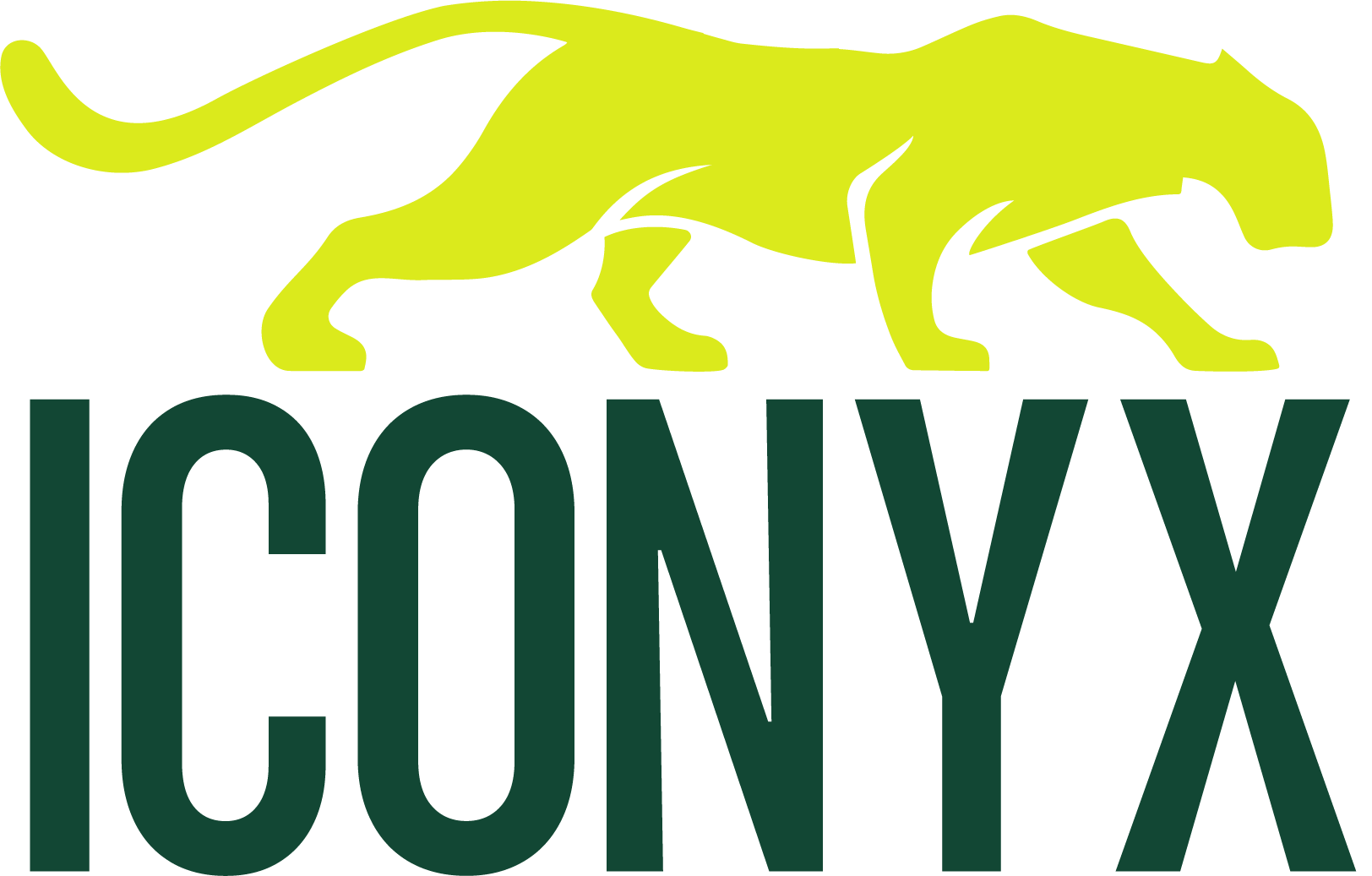 Iconyx Health logo